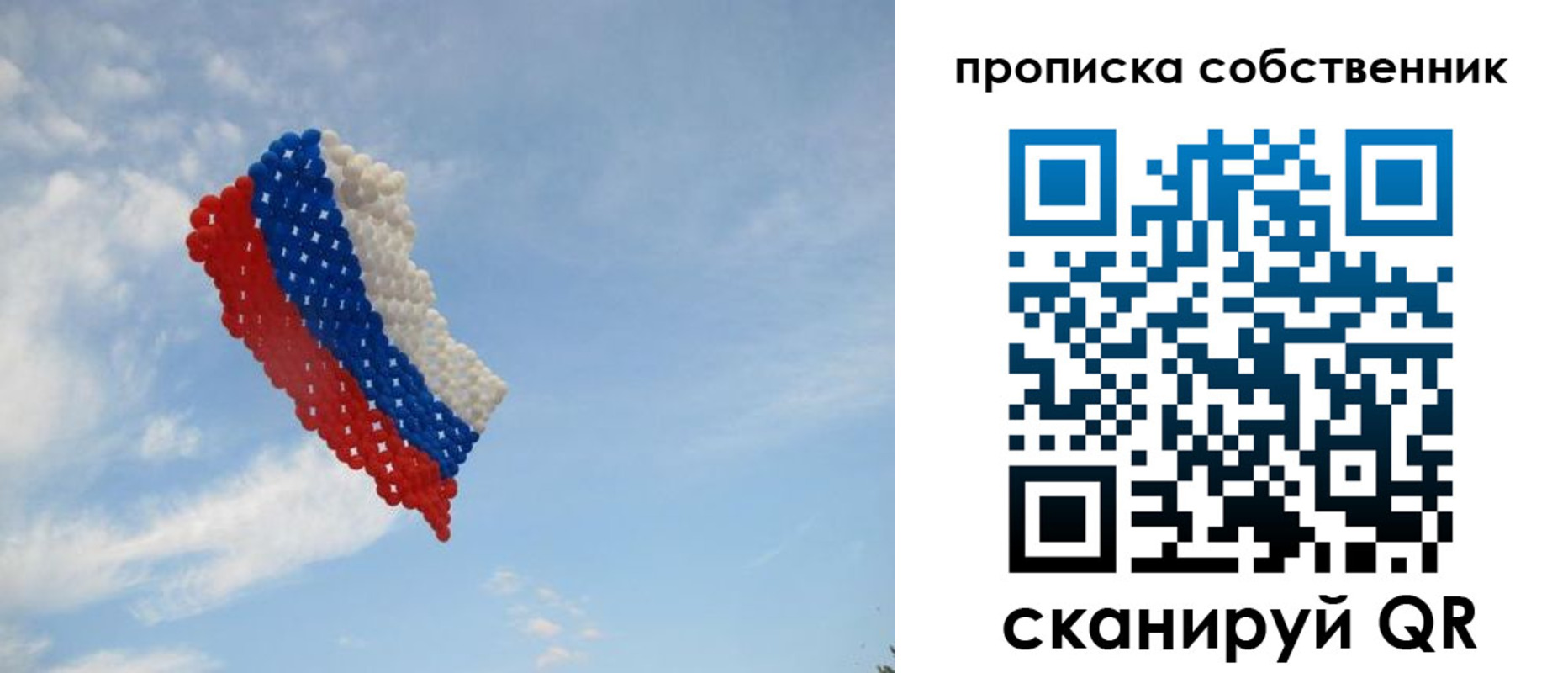 временная регистрация поиск в Дмитрове
